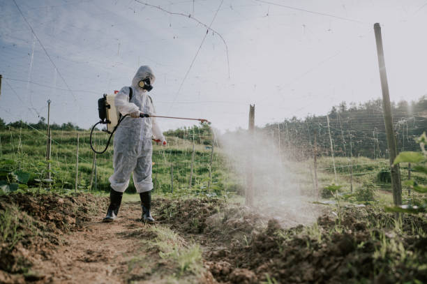 Professional Pest Control in Tinton Falls, NJ