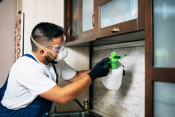 Best Affordable Pest Control Services  in Tinton Falls, NJ