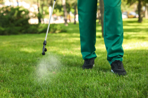 Best Emergency Pest Control  in Tinton Falls, NJ