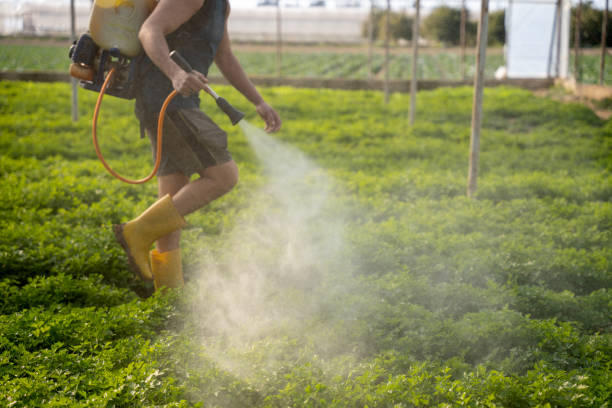 Best Pest Control Near Me  in Tinton Falls, NJ